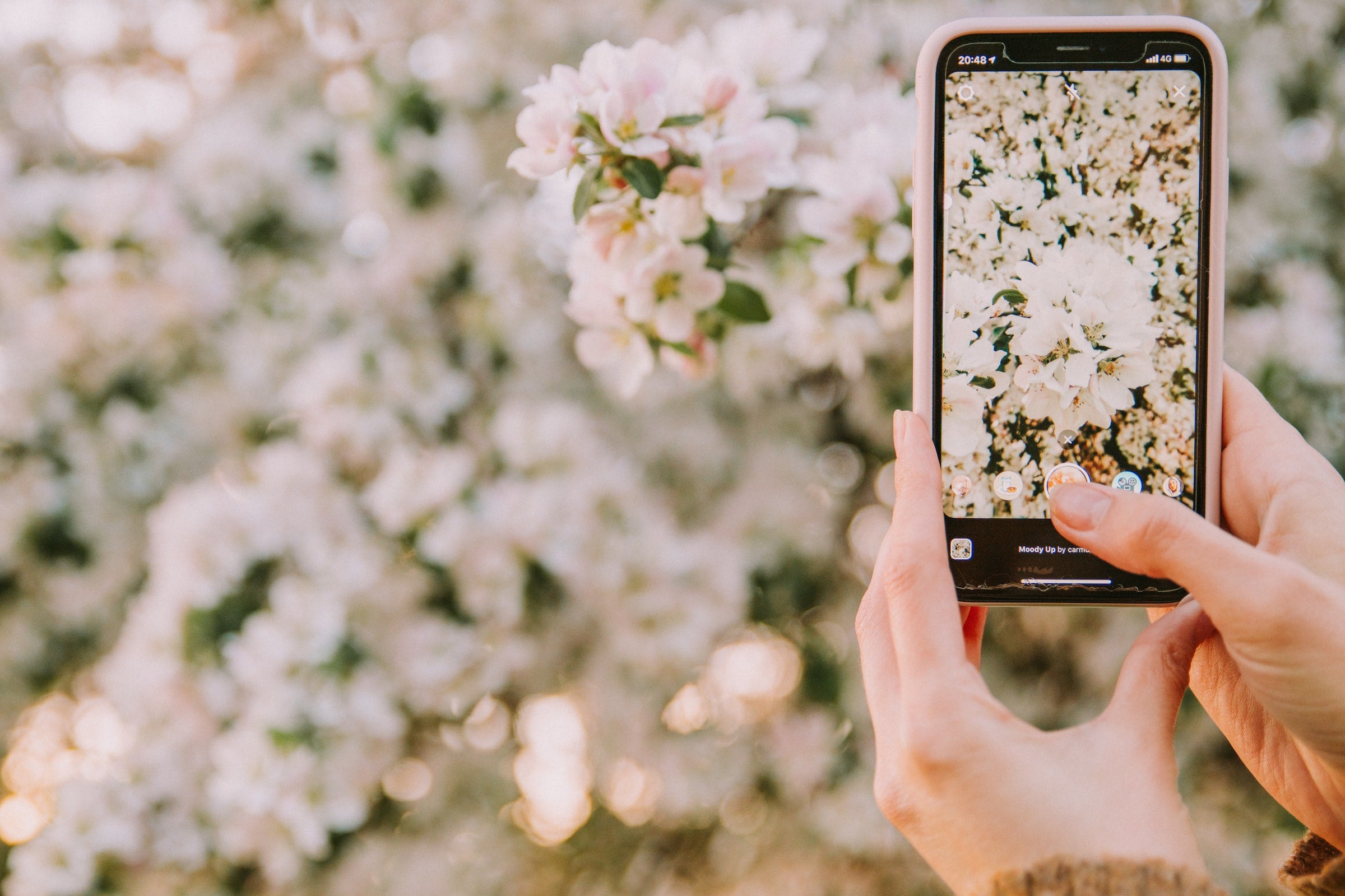 Master the Art of iPhone Photography with These 6 Simple Tips