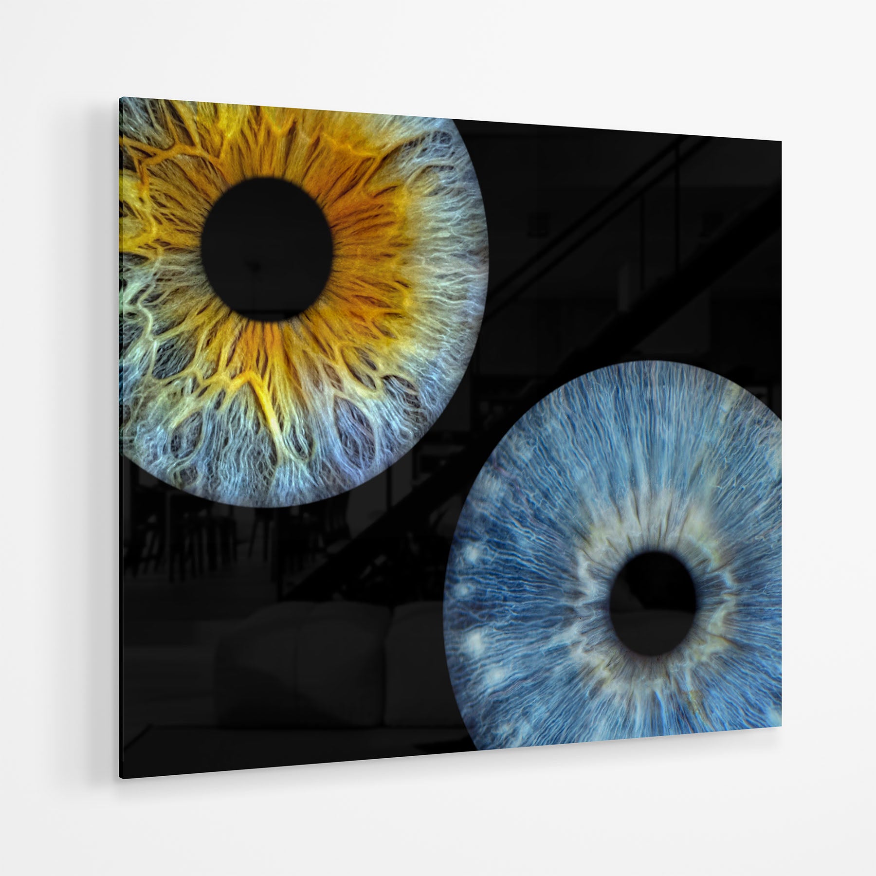 Two iris eye images on acrylic