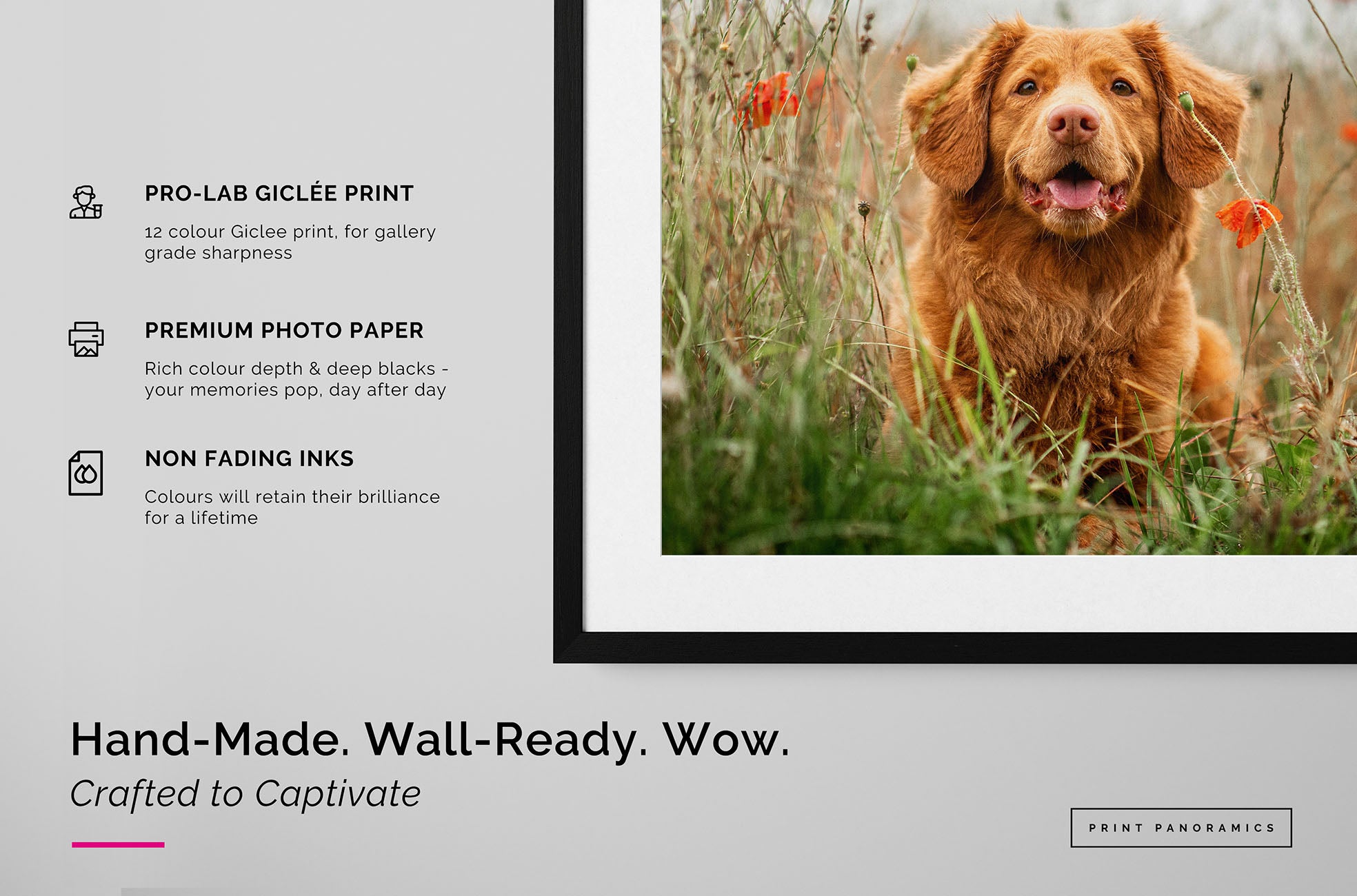 framed and mounted photo of dog showing details