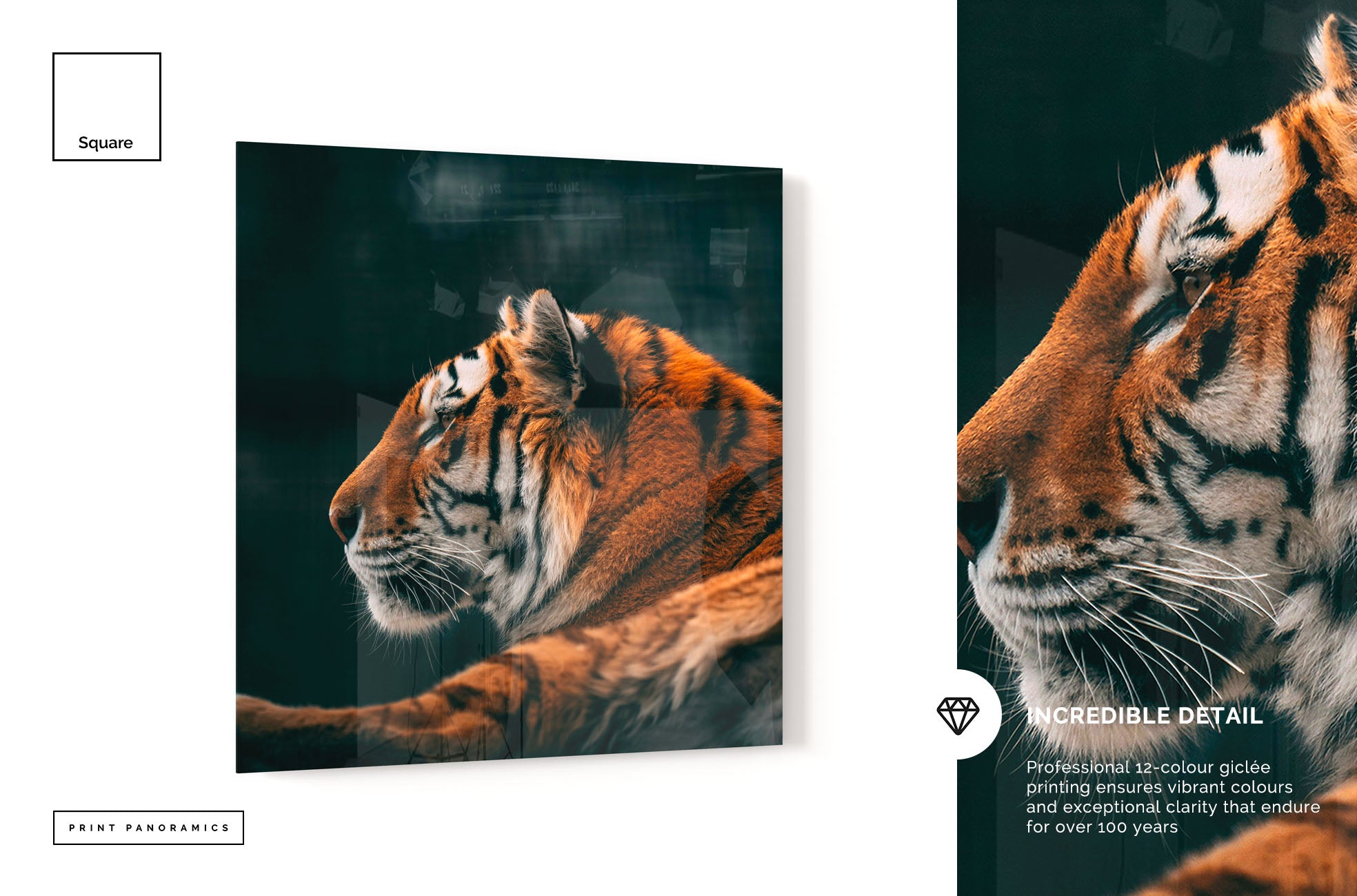 Acrylic Panel Print - Non Panoramic