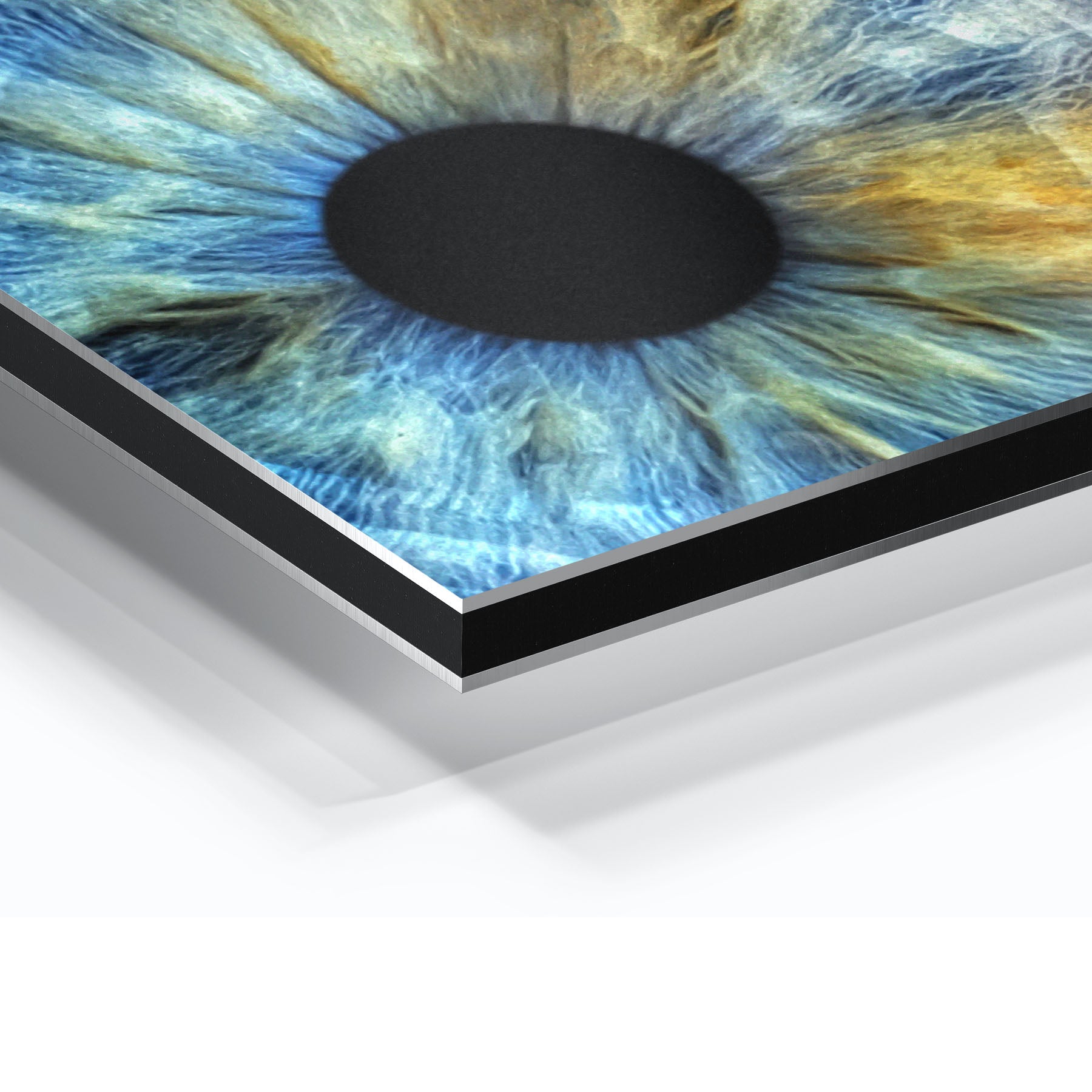 Aluminium dibond print close-up of a detailed eye with blue and yellow irises on a white background