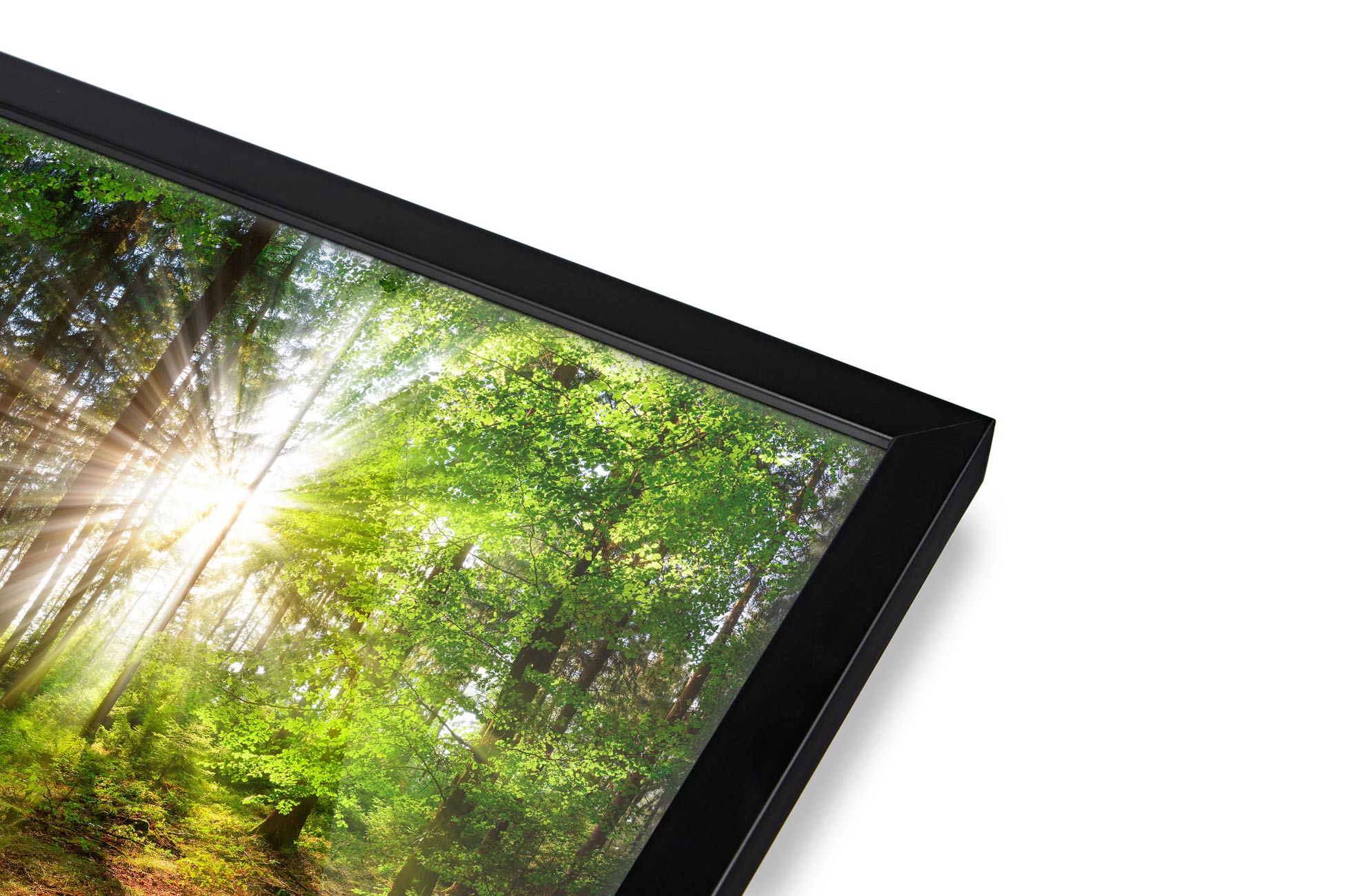 black panoramic frame close up