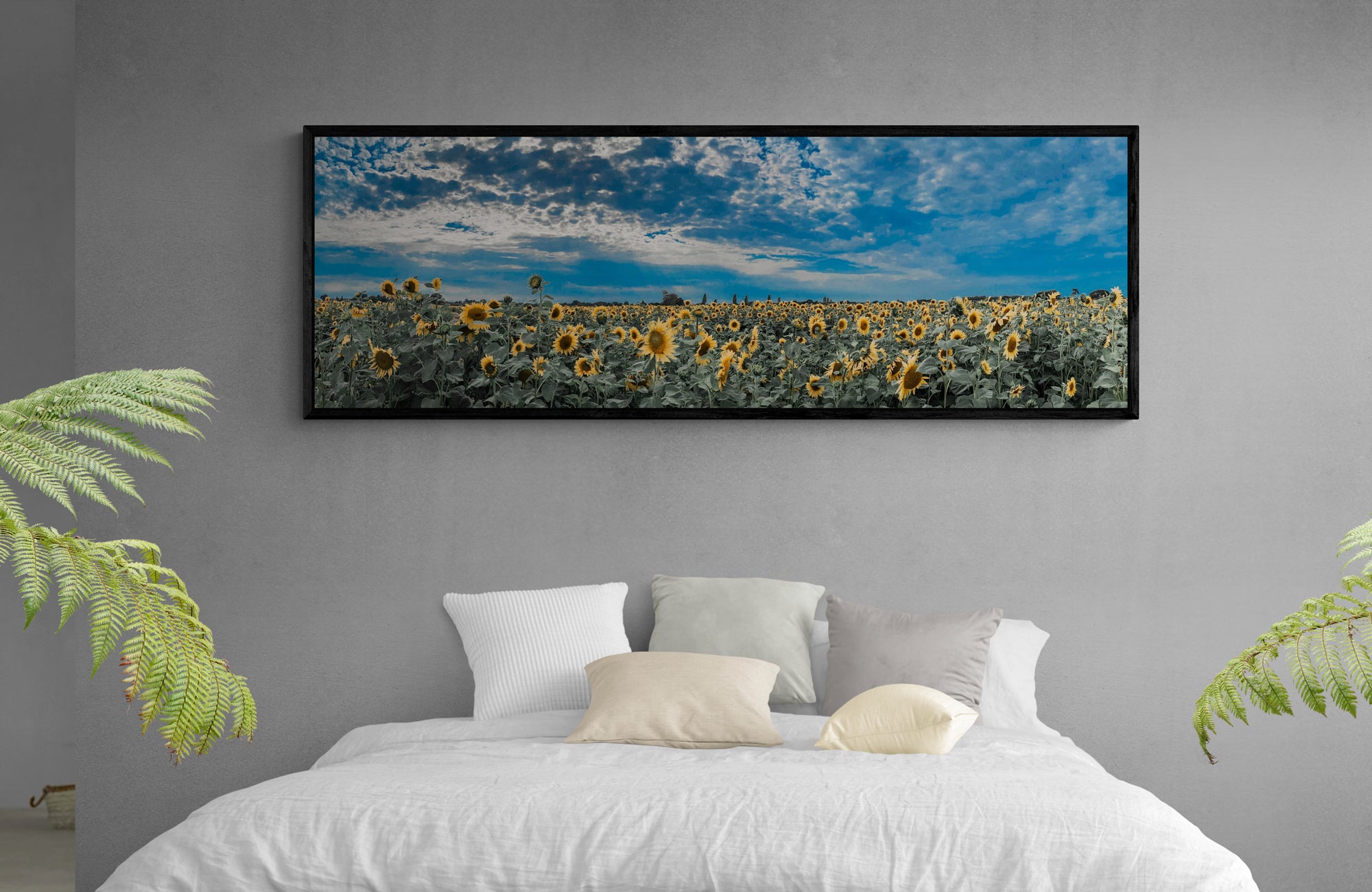 Canvas Photo Prints - to frame or not to frame
