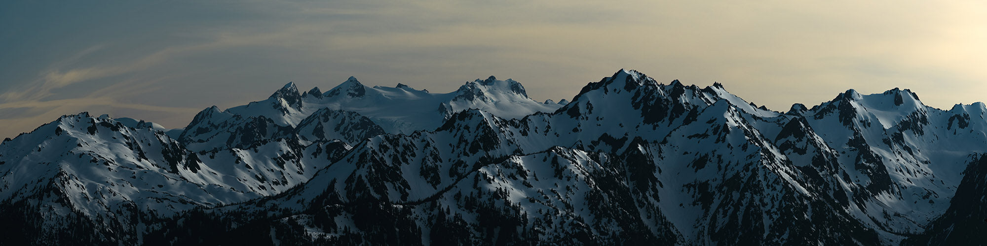Olympic Mountains taken from Hurricane Ridge