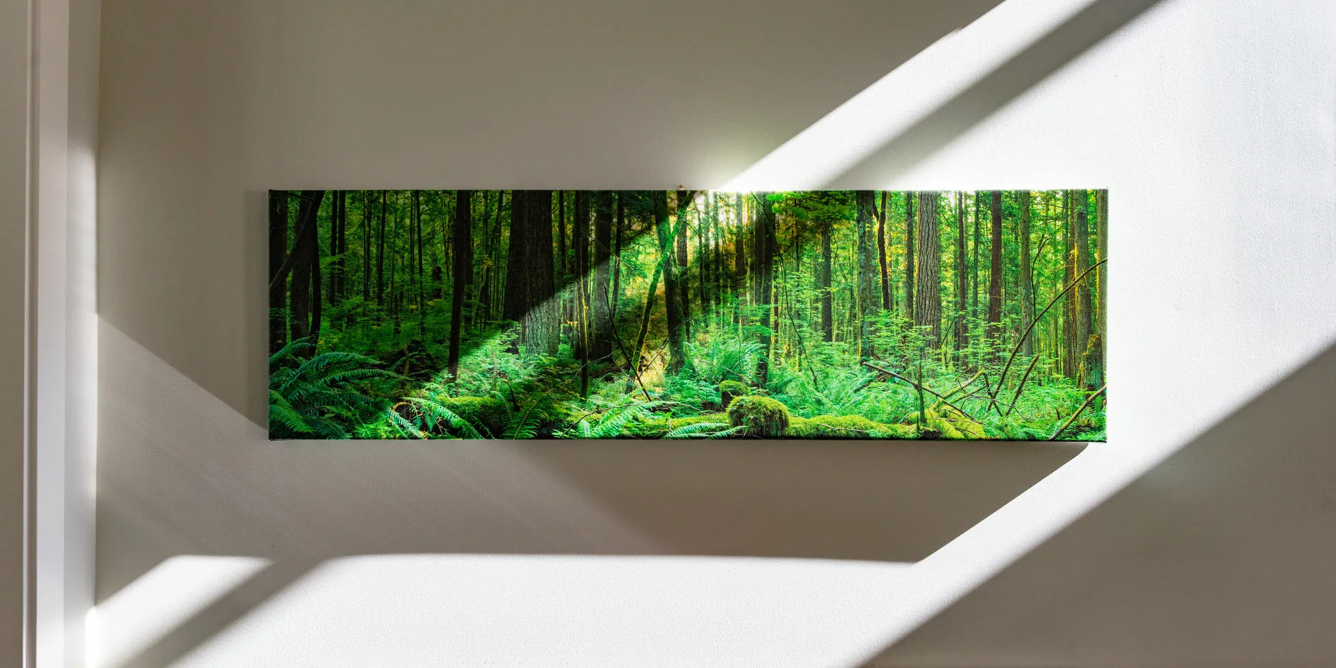 Preserving Your Canvas Prints: How to Protect Against Sunlight Fading and Ensure Longevity
