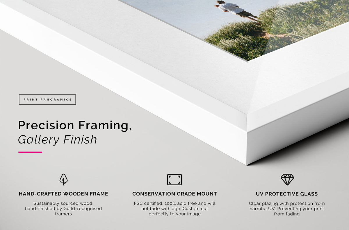 panoramic framed and mounted print close up details