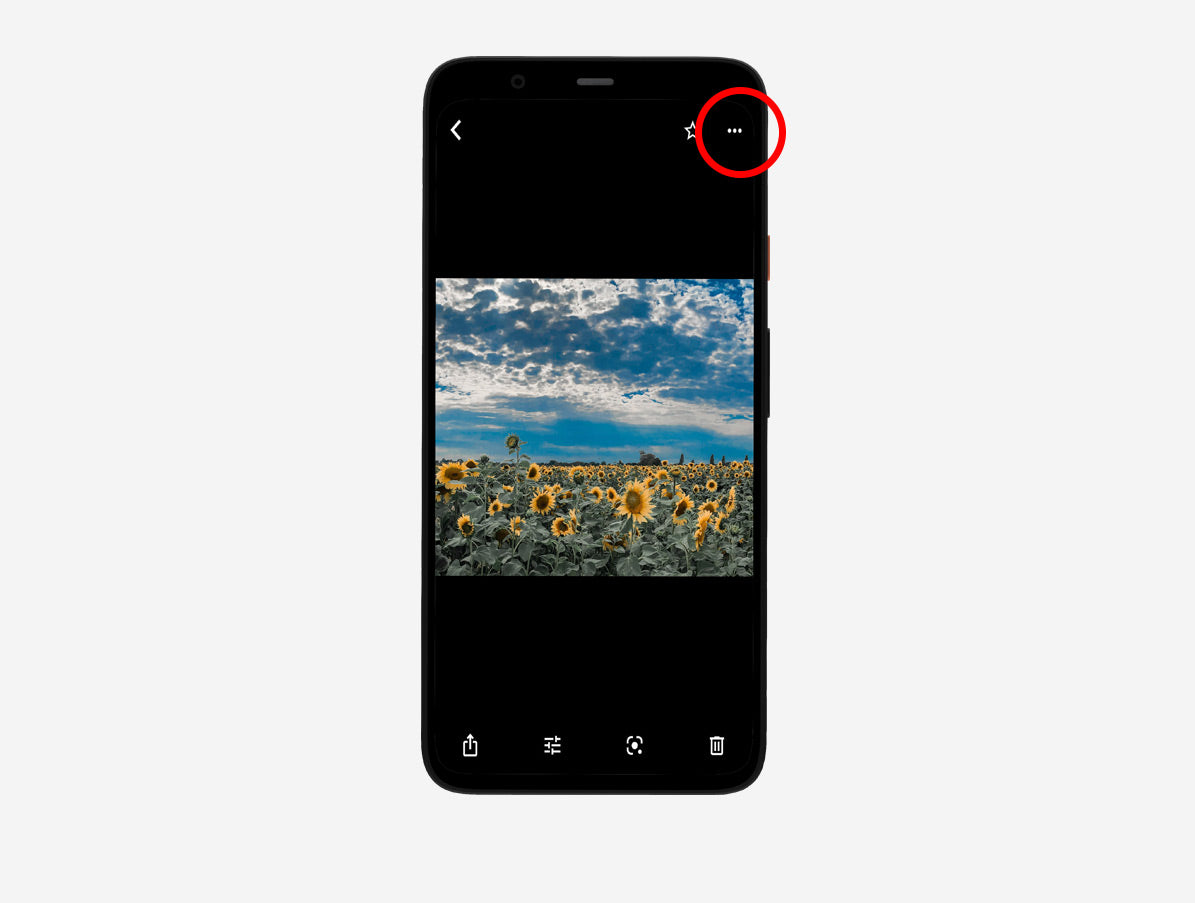 Getting image size from Google Photos - Android devices