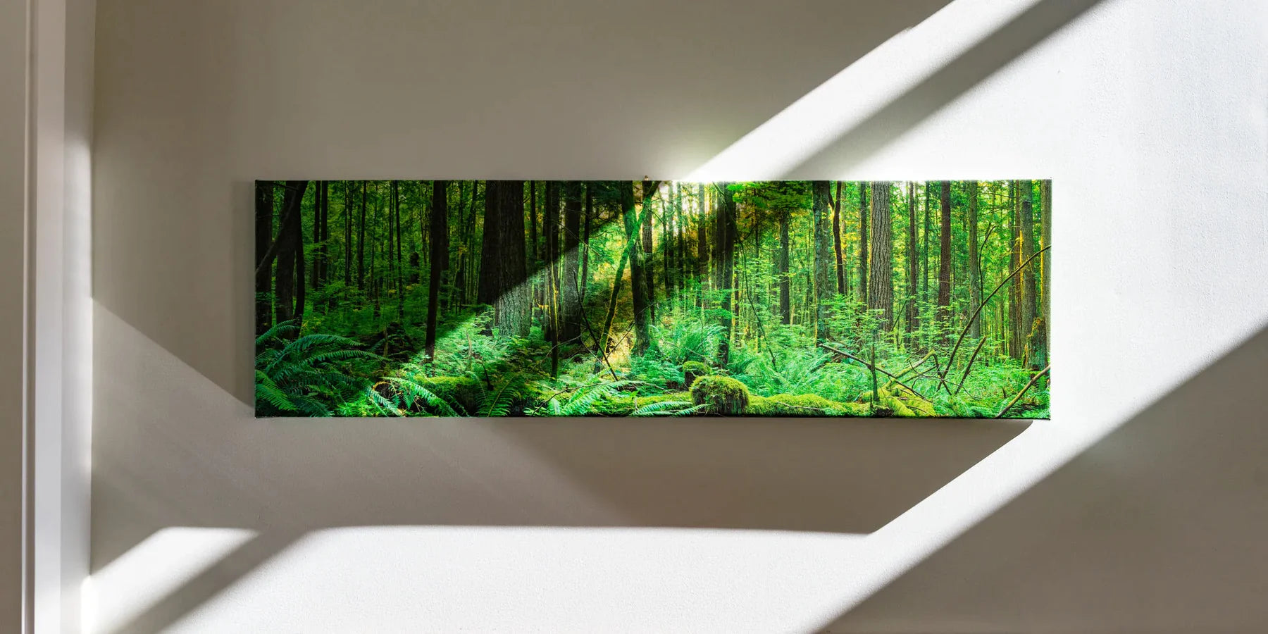 panoramic canvas of forest