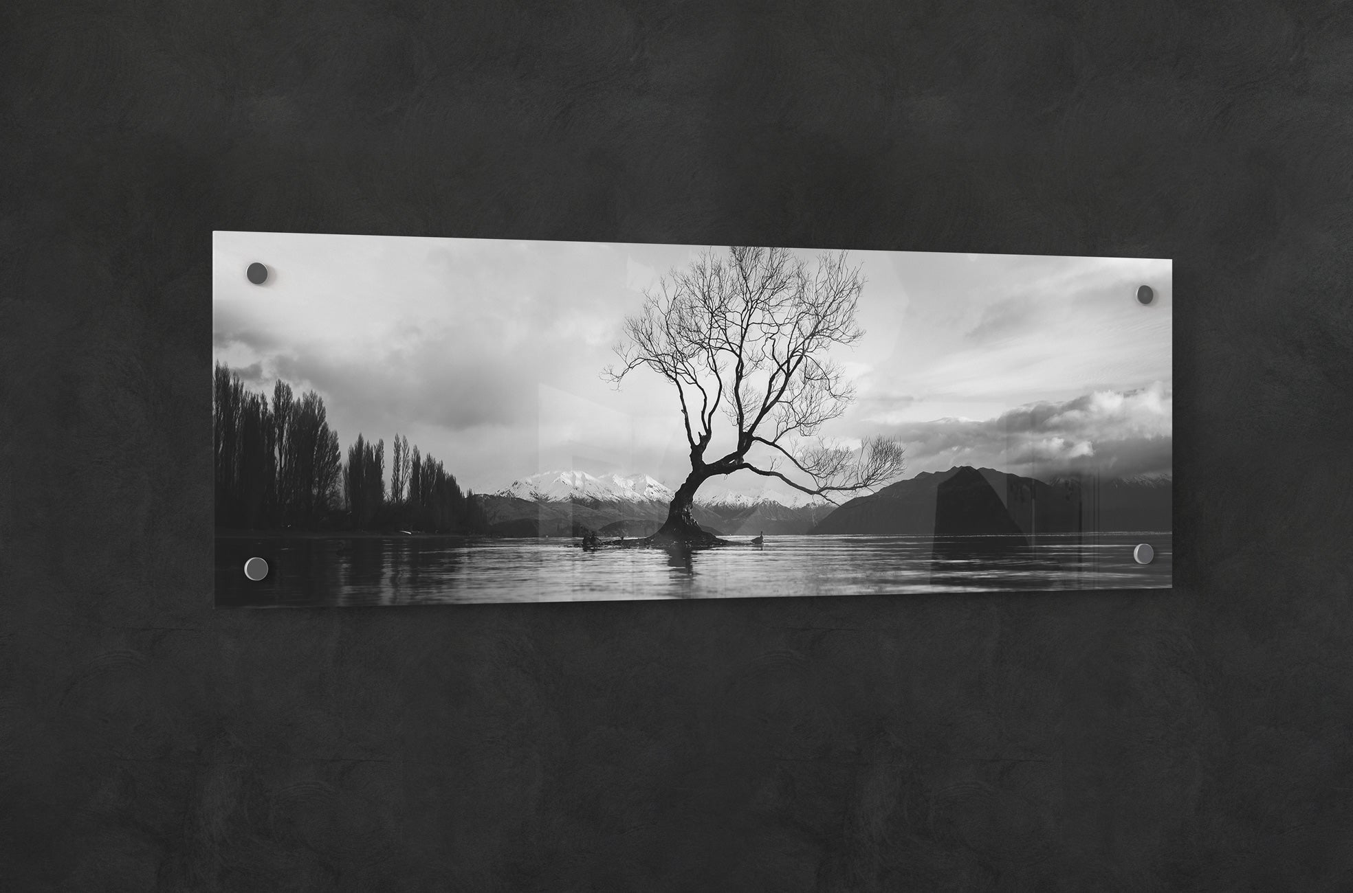 black and white panoramic acrylic panel print